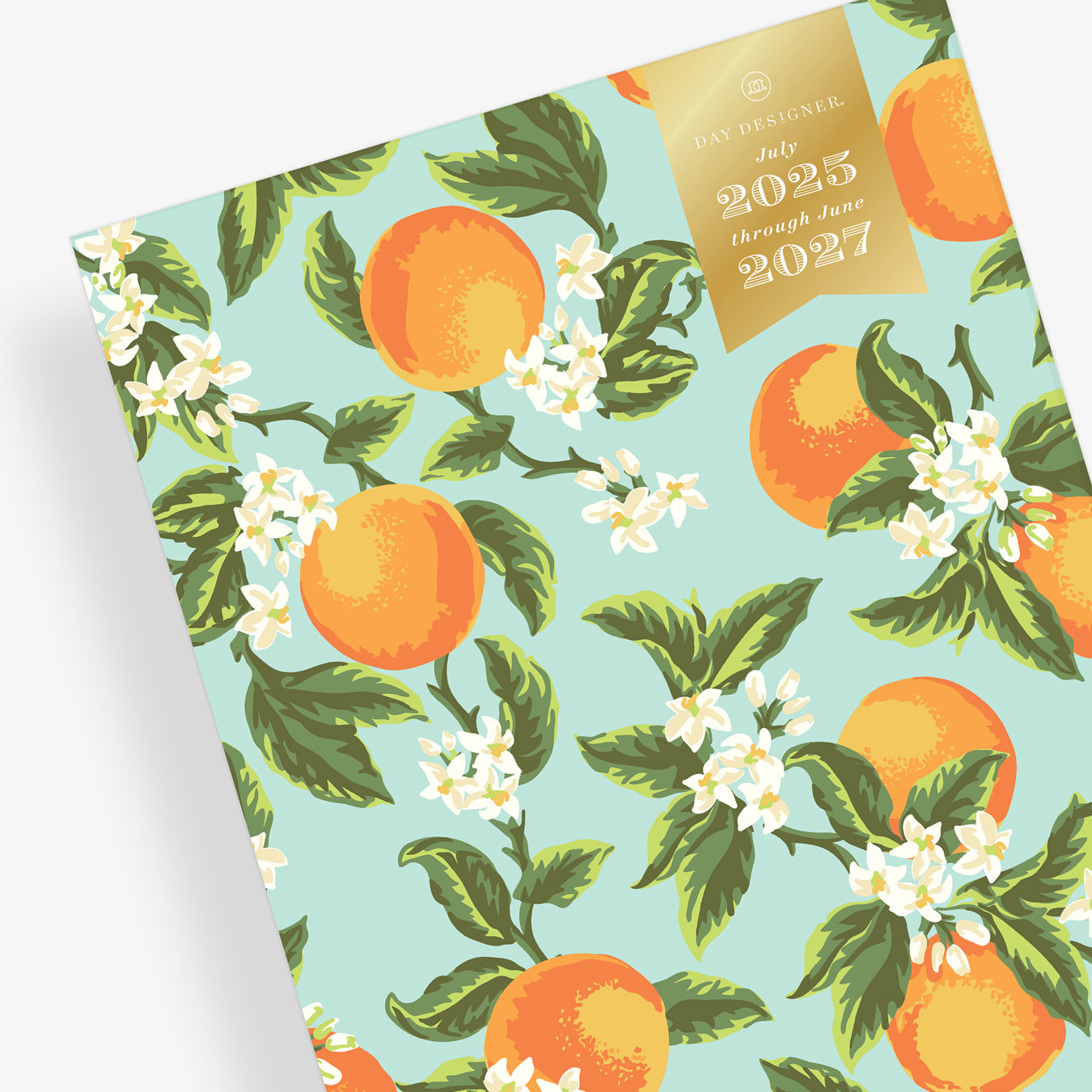 Orange Blossom Mint 2025-2027 24-Month 8.5x11 Day Designer for Blue Sky Planning Calendar