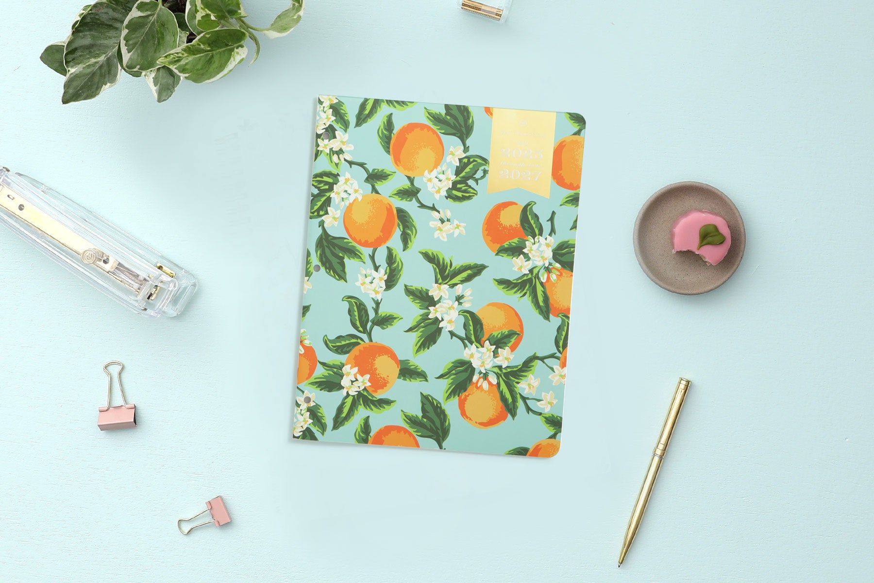 Orange Blossom Mint 2025-2027 24-Month 8.5x11 Day Designer for Blue Sky Planning Calendar 2 Orange Blossom Mint 2025-2027 24-Month 8.5x11 Day Designer for Blue Sky Planning Calendar