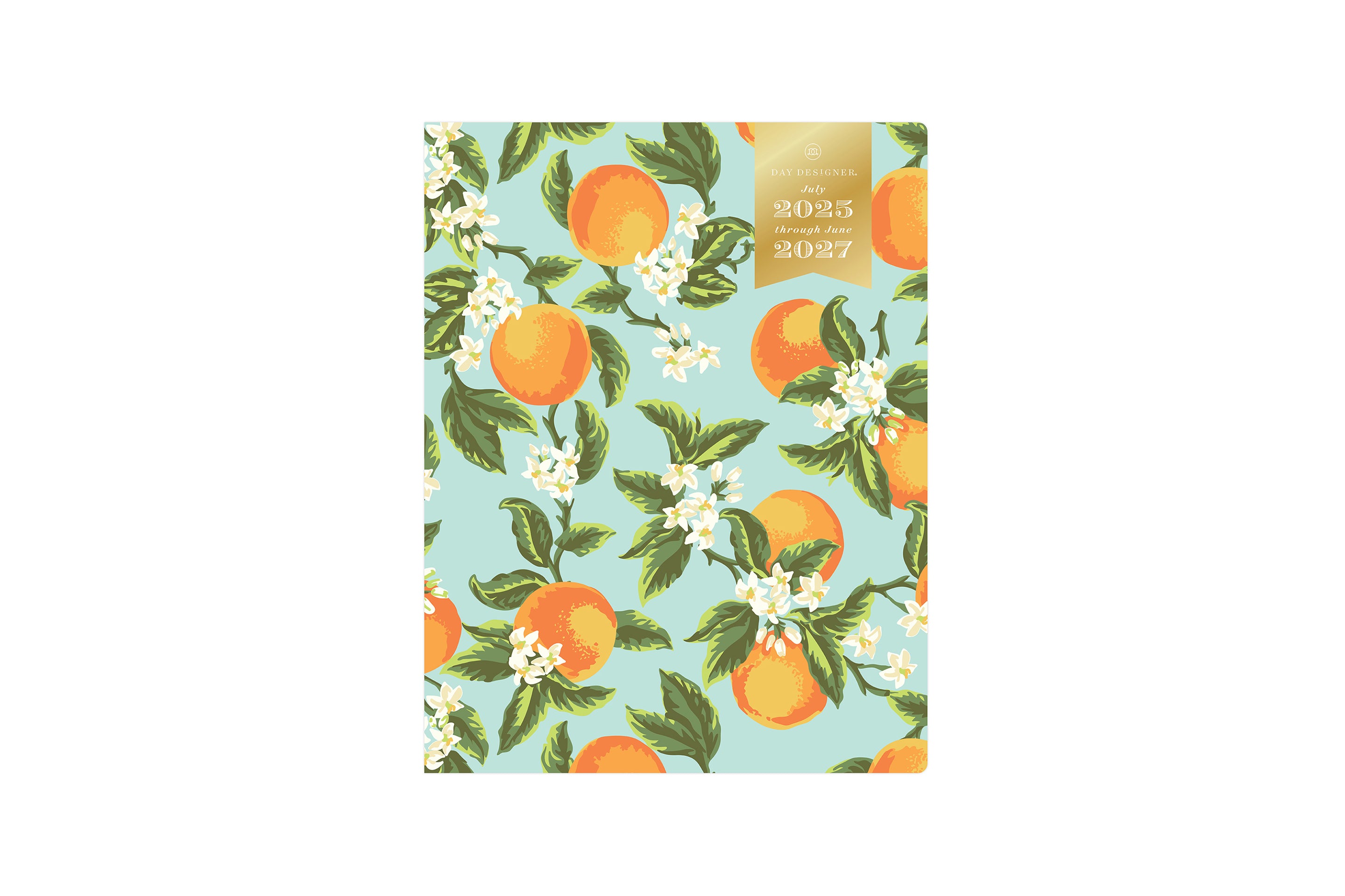 Orange Blossom Mint 2025-2027 24-Month 8.5x11 Day Designer for Blue Sky Planning Calendar 8 Orange Blossom Mint 2025-2027 24-Month 8.5x11 Day Designer for Blue Sky Planning Calendar