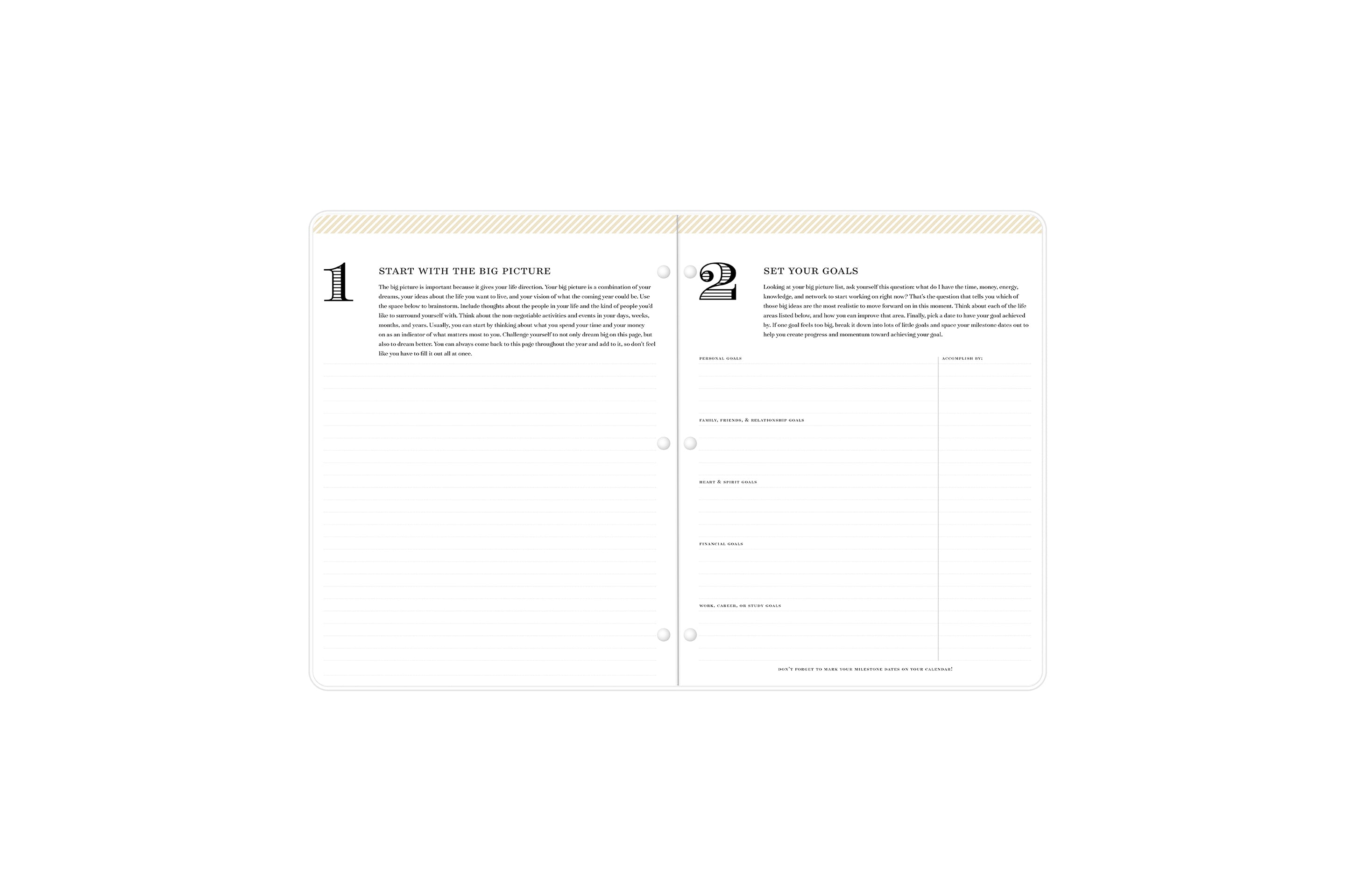 Rose Garden 2025-2026 Monthly 8.5x11 Day Designer for Blue Sky Planning Calendar 4 Rose Garden 2025-2026 Monthly 8.5x11 Day Designer for Blue Sky Planning Calendar