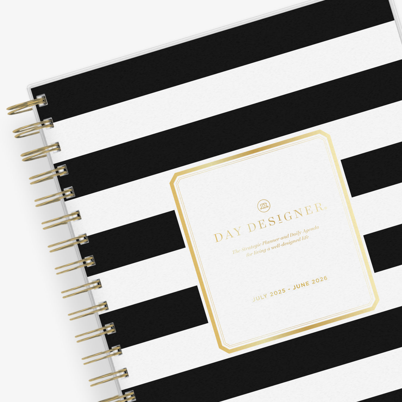 Rugby Stripe 2025-2026 Daily Monthly 8x10 Day Designer for Blue Sky Planning Calendar