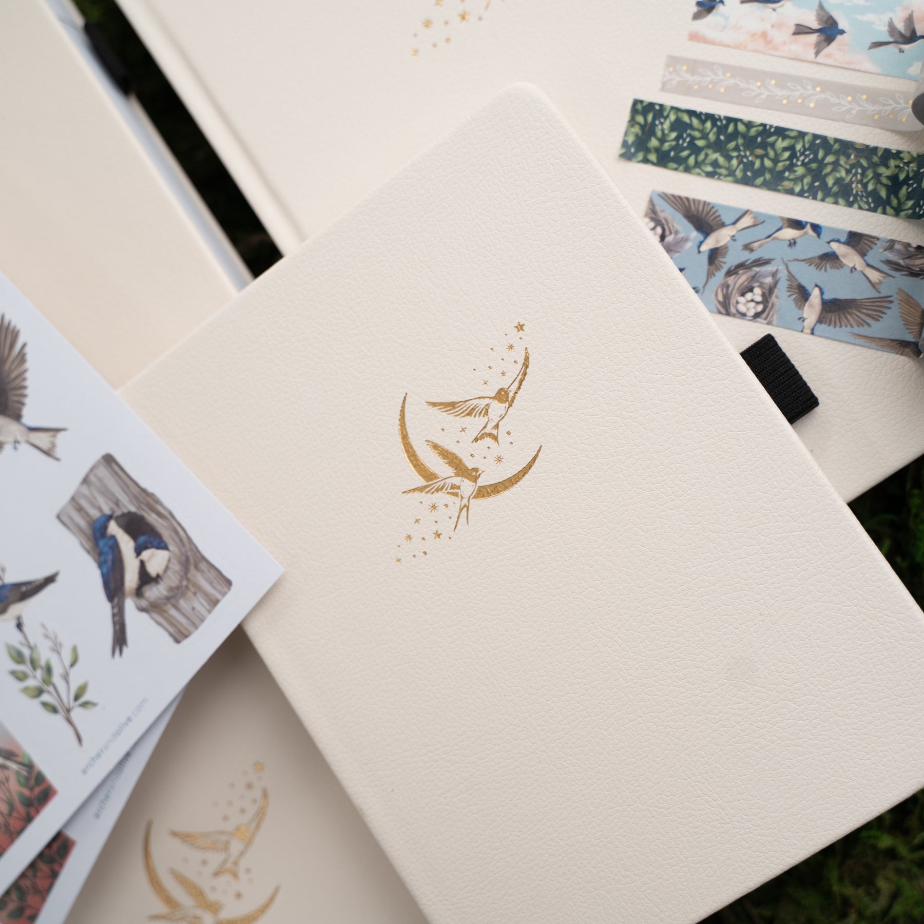 B6 Swallows: Dot Grid Notebook 6 A5 Swallows: Dot Grid Notebook
