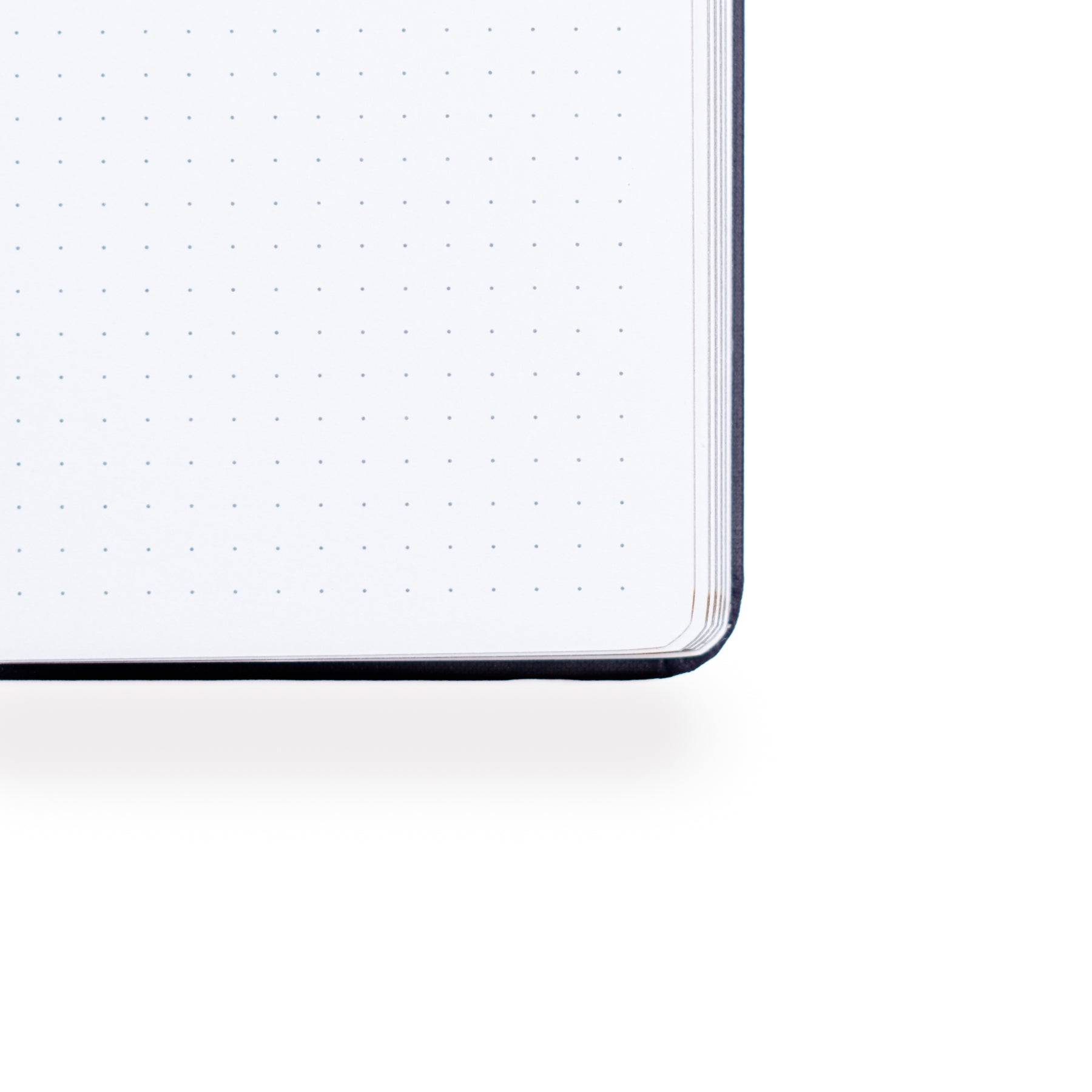 B6 Antique Floral: Dot Grid Notebook 3 8x8 Antique Floral: Dot Grid Notebook