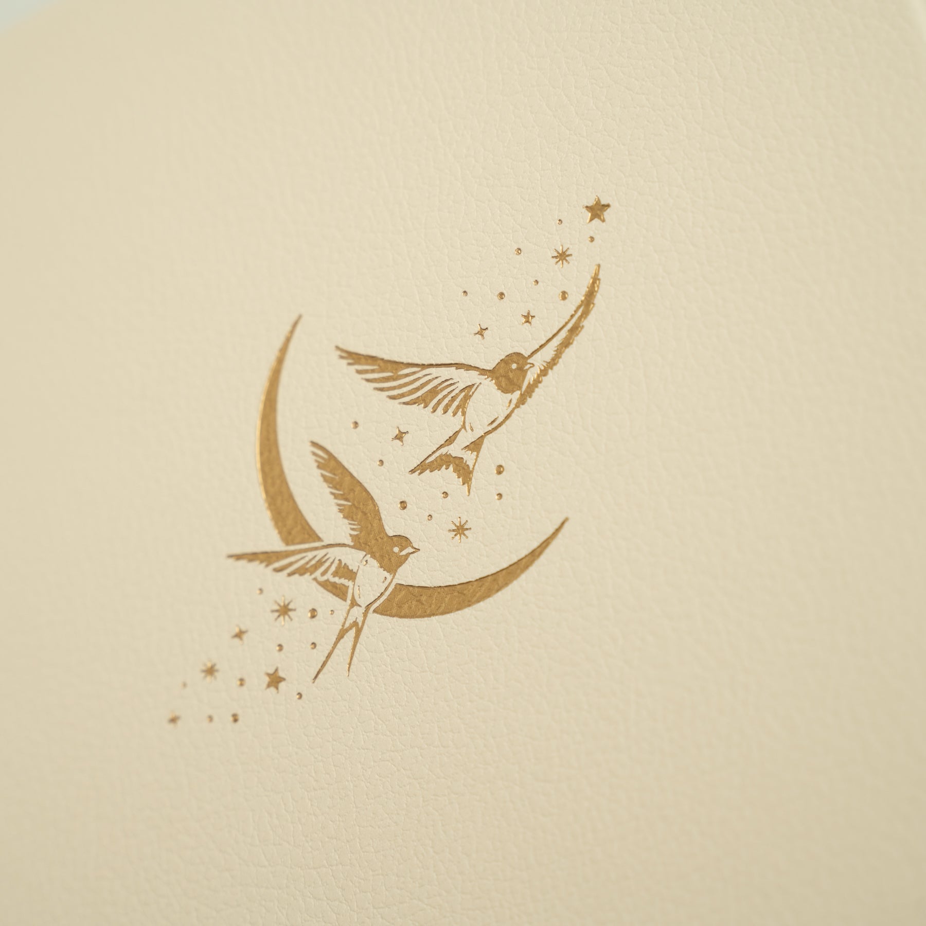 B6 Swallows: Dot Grid Notebook 4 B6 Swallows: Dot Grid Notebook