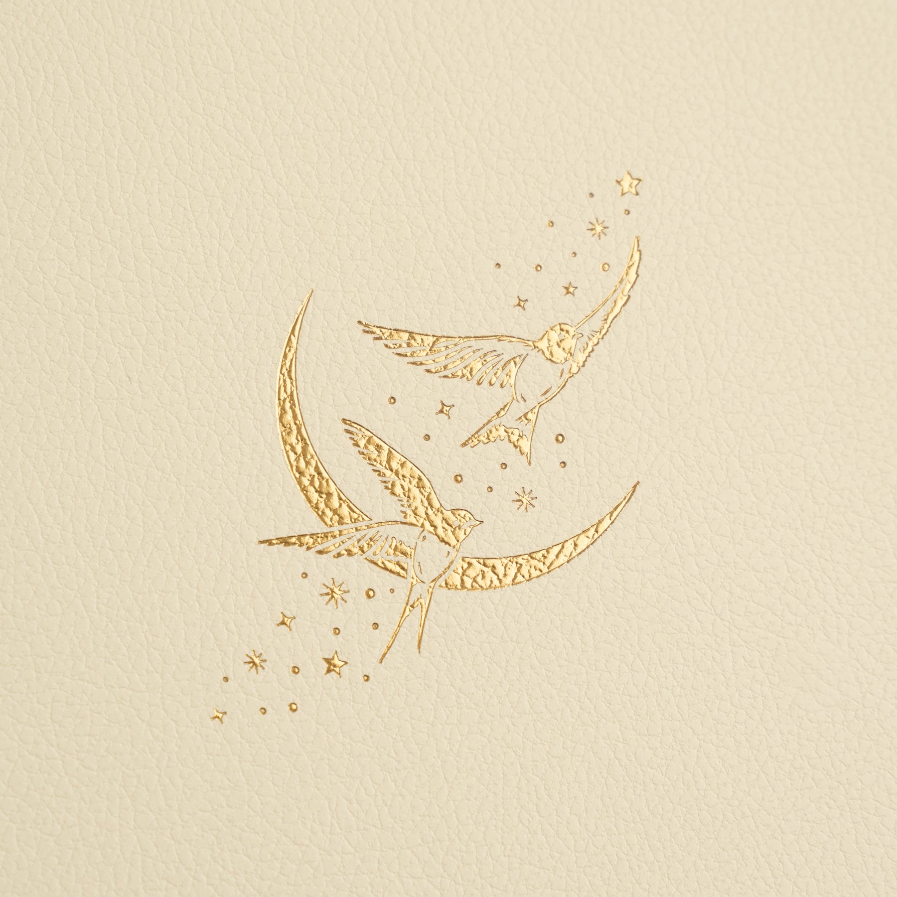 B6 Swallows: Dot Grid Notebook 5 B6 Swallows: Dot Grid Notebook