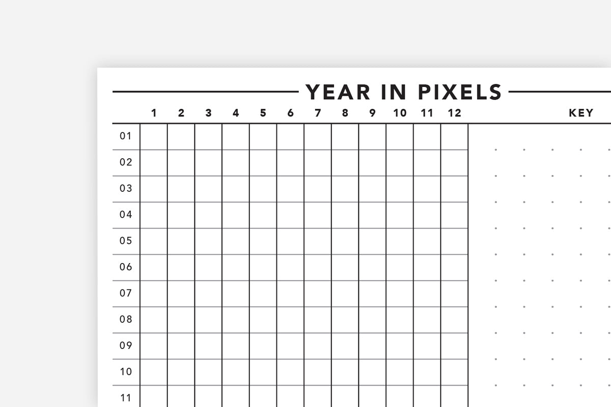 Year in Pixels