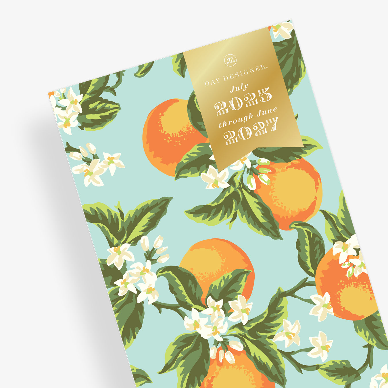 Orange Blossom Mint 2025-2027 24-Months 5x8 Day Designer for Blue Sky Planning Calendar