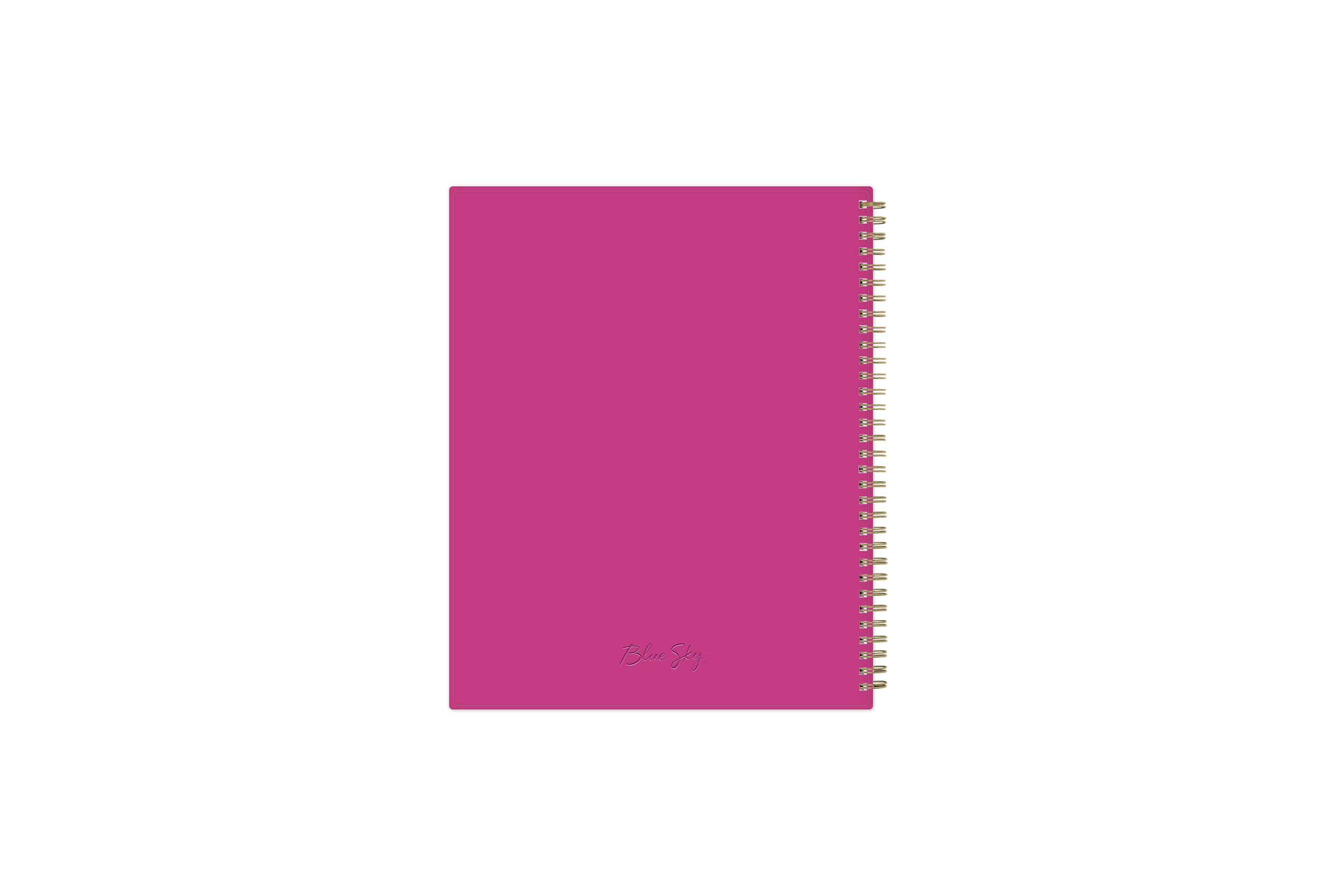 Star Confetti 2025-2026 Weekly 8.5x11 Student Planning Calendar 7 Star Confetti 2025-2026 Weekly 8.5x11 Student Planning Calendar